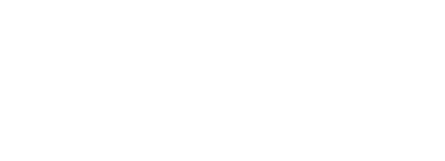 Flex Finance Logo
